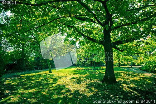 Image of Deserted park