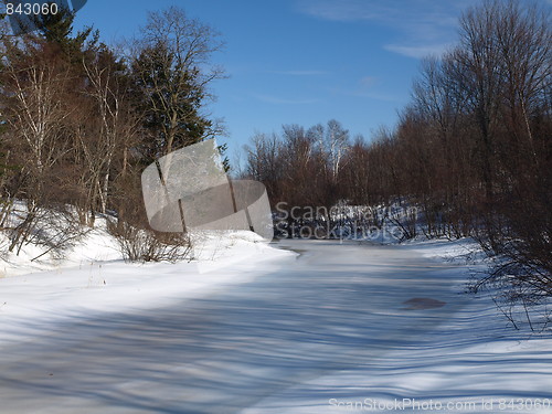 Image of Shapes of winter.