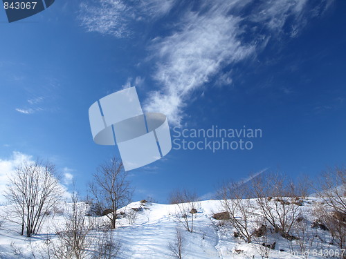 Image of Shapes of winter.