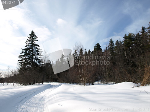 Image of Shapes of winter.