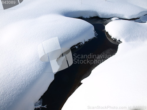 Image of Shapes of winter.