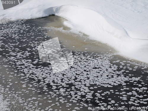 Image of Shapes of winter.