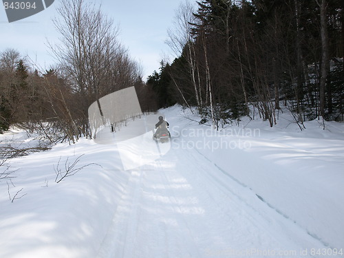 Image of Winter fun.