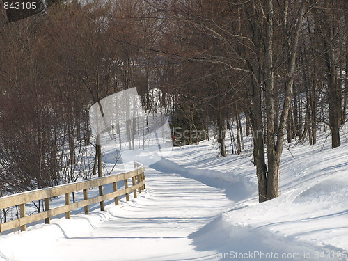 Image of Shapes of winter.