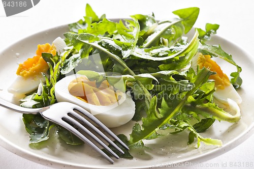 Image of Salad