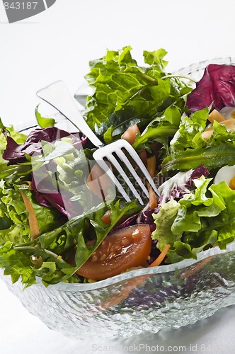 Image of Salad
