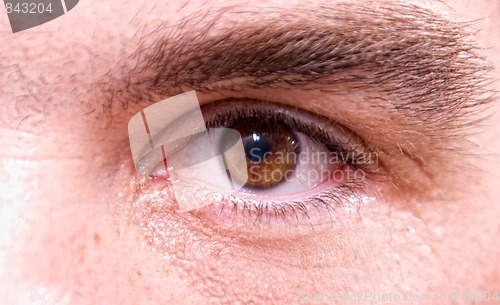 Image of brown eye