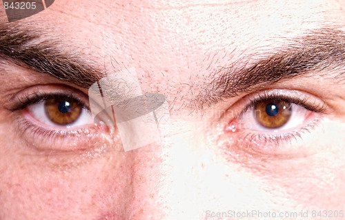 Image of close up of brown eyes