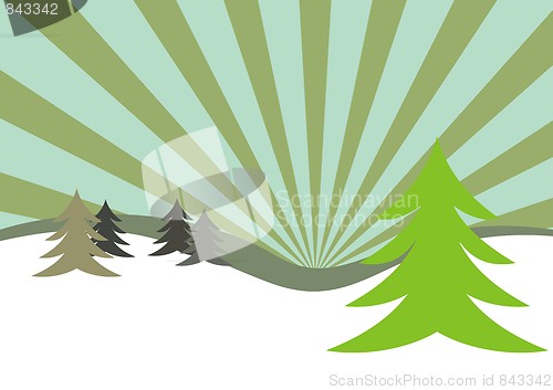 Image of Winter firs illustration