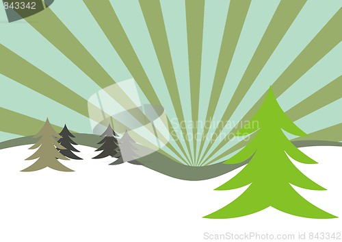 Image of Winter firs illustration