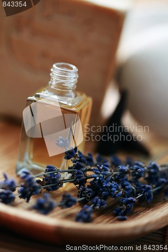 Image of lavender aromatherapy oil