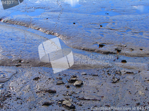 Image of river bank