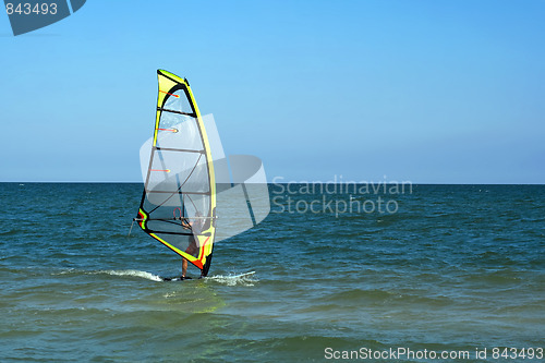 Image of surfer