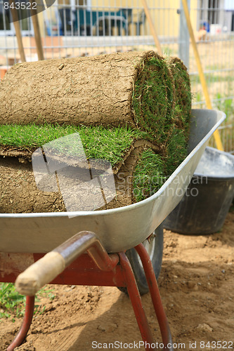 Image of Rolled sod