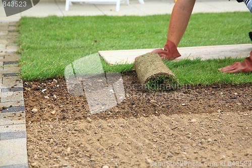 Image of Laying sod for new lawn