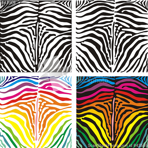 Image of Vector background skin zebra