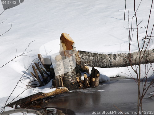 Image of A winter scene.