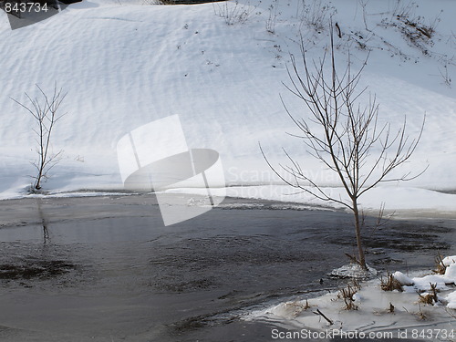 Image of A winter scene.