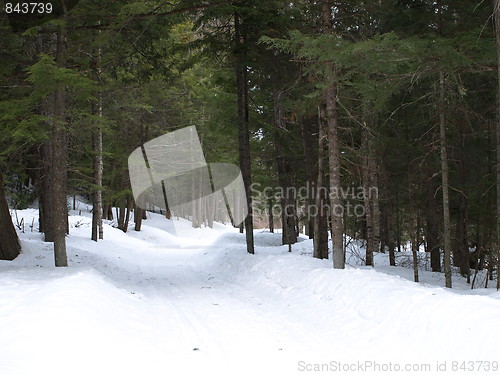 Image of A winter scene.