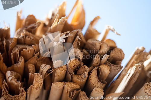 Image of Bamboo background