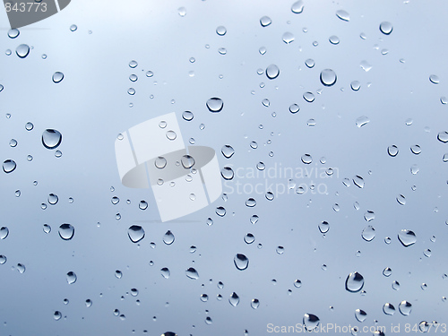 Image of Rain droplets