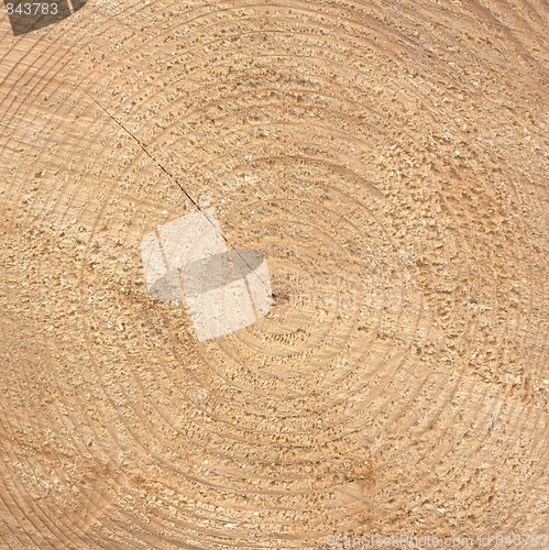 Image of Wood rings