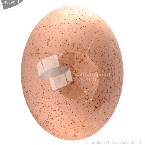 Image of Cracked egg