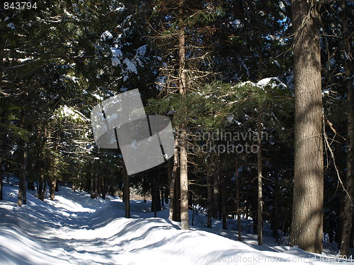 Image of A winter scene.