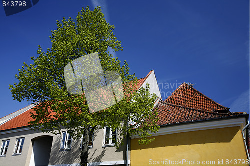 Image of Springtime
