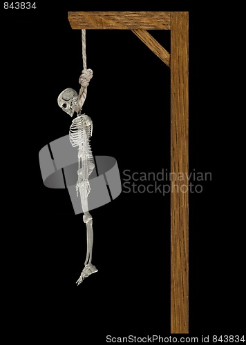 Image of Hanging Skeleton