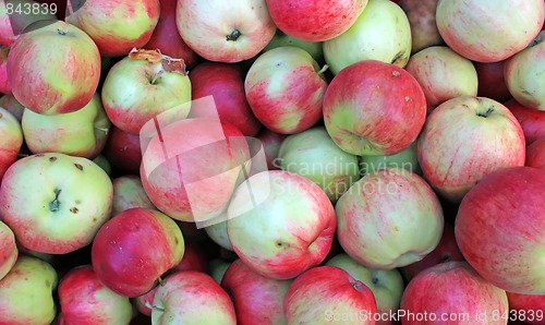 Image of Apples