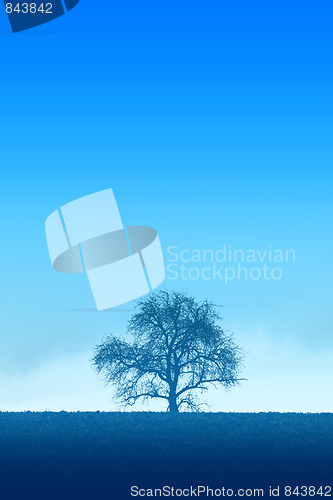 Image of Blue Lonely Tree