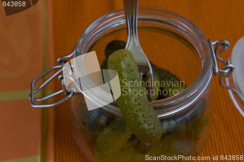 Image of autumn cucumbers