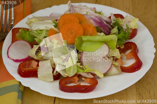 Image of colorful light lunch