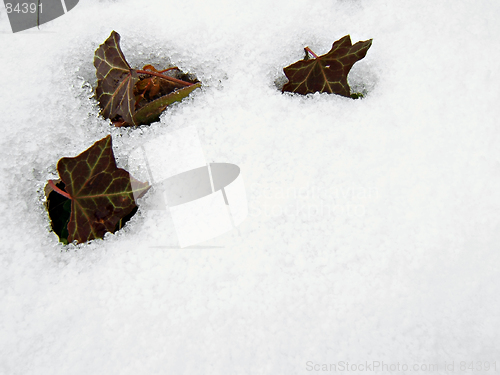 Image of snow background