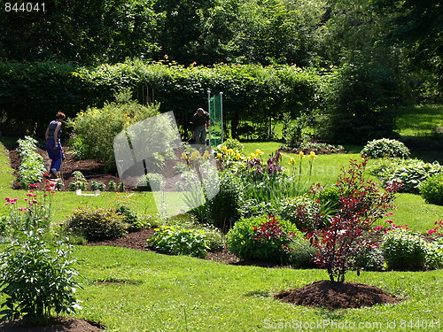 Image of In the garden.