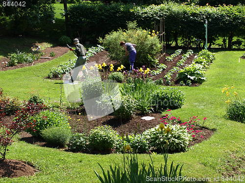 Image of In the garden.
