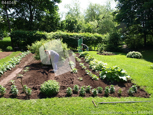 Image of In the flower garden.