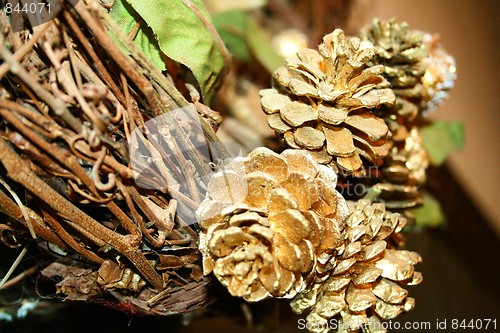 Image of Pine Cones