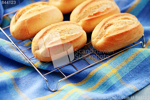 Image of fresh buns