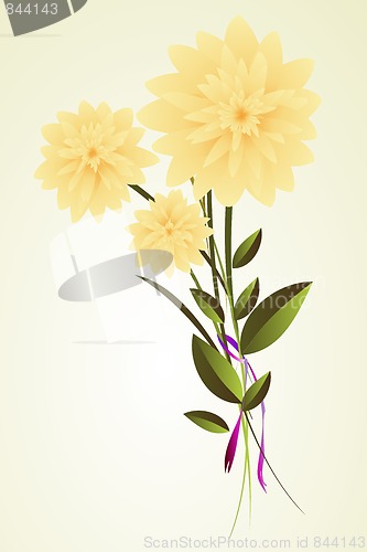 Image of flowers