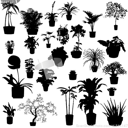 Image of Potted plants