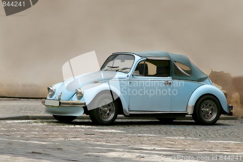 Image of famous beetle in front of a wall