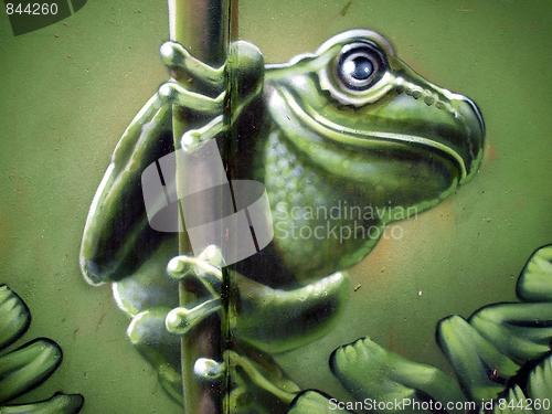 Image of Frog Graffiti