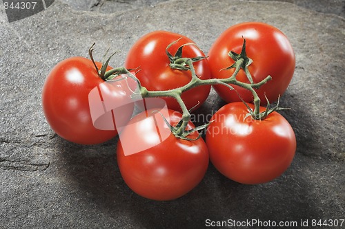 Image of Tomatoes