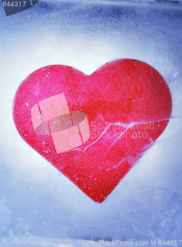 Image of Frozen Love