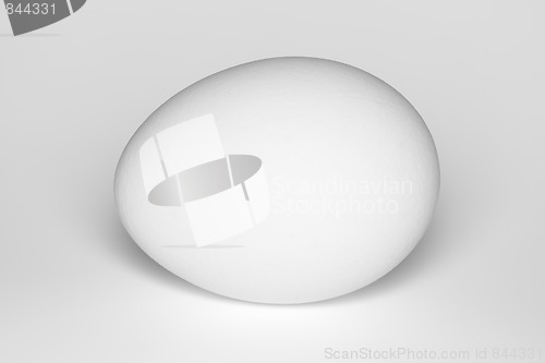 Image of Egg