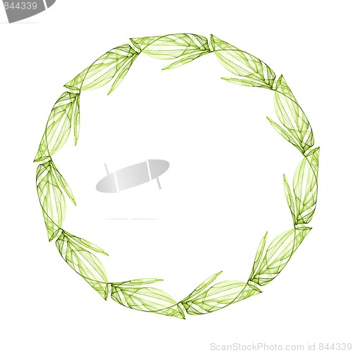 Image of green honor
