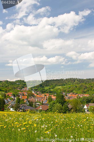 Image of Village in Spring