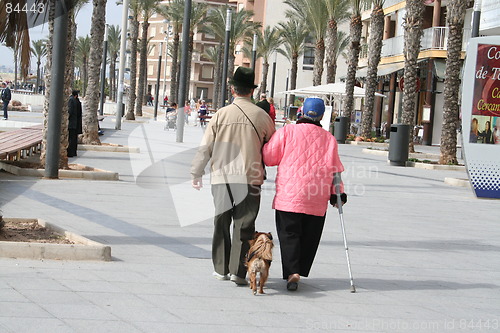 Image of Family with dog